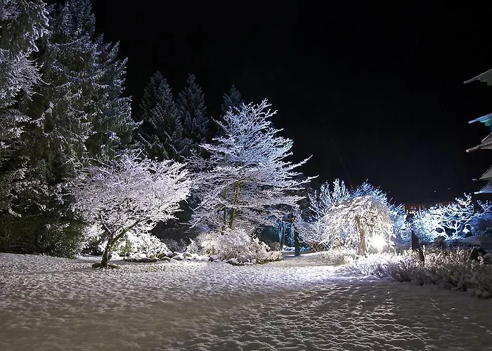 Rezort Sendlhofer's Bad Hofgastein